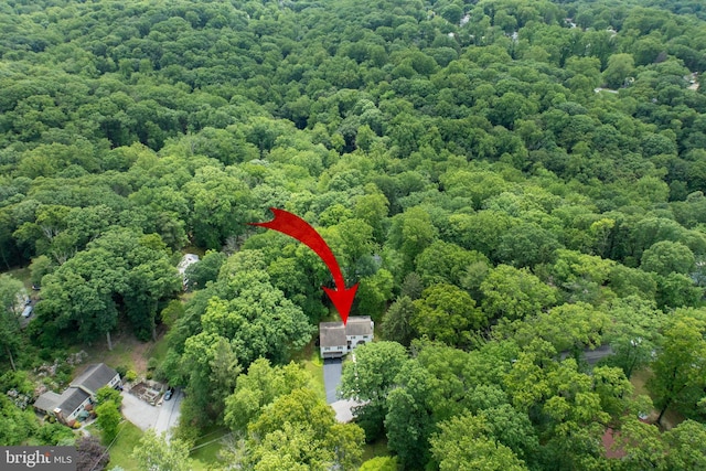 337 Greene Rd, Berwyn, PA 19312 - drone / aerial view of a forest