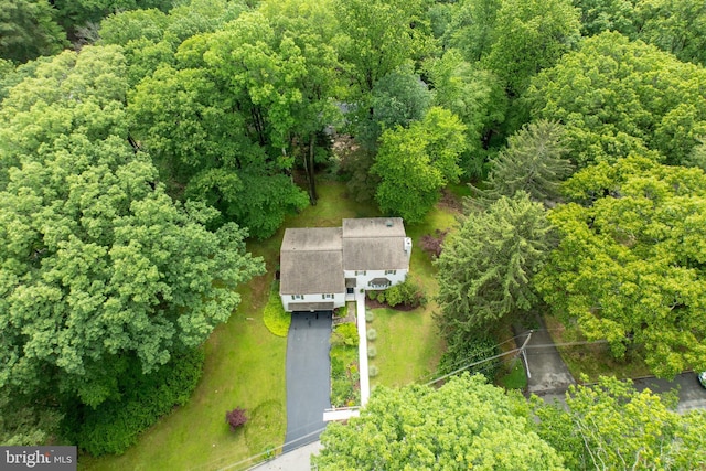 337 Greene Rd, Berwyn, PA 19312 - drone / aerial view of a forest