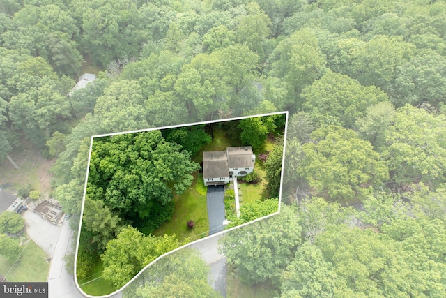 337 Greene Rd, Berwyn, PA 19312 - aerial view of property and surrounding area with a heavily wooded area and property parcel outlined