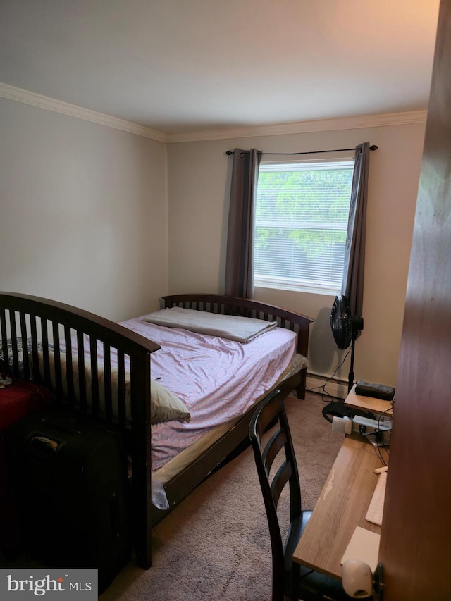 9618 Hoff St, Philadelphia, PA 19115 - carpeted bedroom with ornamental molding and a baseboard radiator