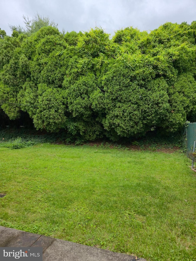 9618 Hoff St, Philadelphia, PA 19115 - view of grassy yard