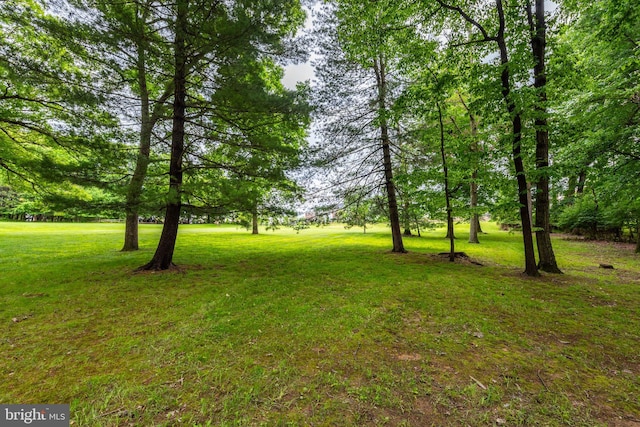 9532 Lyons Mill Rd, Owings Mills, MD 21117 - view of grassy yard