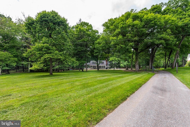 9532 Lyons Mill Rd, Owings Mills, MD 21117 - view of green lawn featuring view of wooded area
