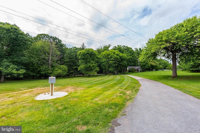 9532 Lyons Mill Rd, Owings Mills, MD 21117 - view of green lawn