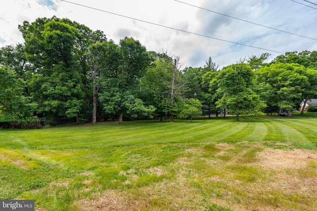 9532 Lyons Mill Rd, Owings Mills, MD 21117 - view of grassy yard
