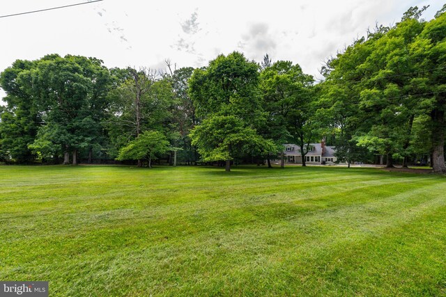 9532 Lyons Mill Rd, Owings Mills, MD 21117 - view of green lawn