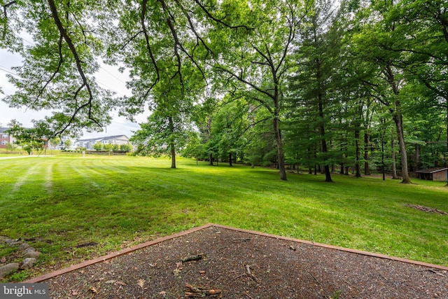 9532 Lyons Mill Rd, Owings Mills, MD 21117 - view of grassy yard