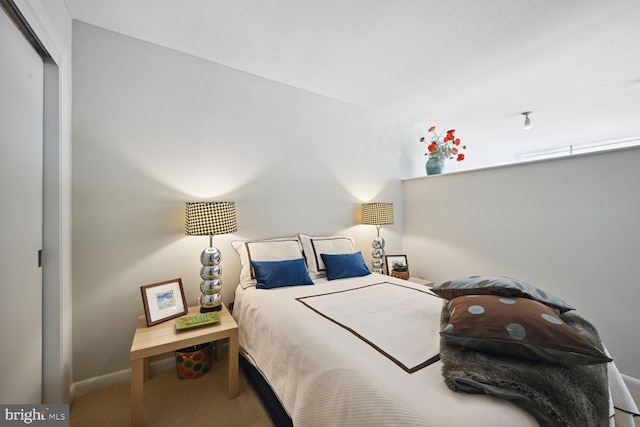 811 4th St NW Unit 720, Washington, DC 20001 - bedroom featuring carpet flooring and a closet