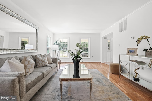 13412 Glen Taylor Ln, Herndon, VA 20171 - living area featuring wood finished floors, plenty of natural light, and ornamental molding