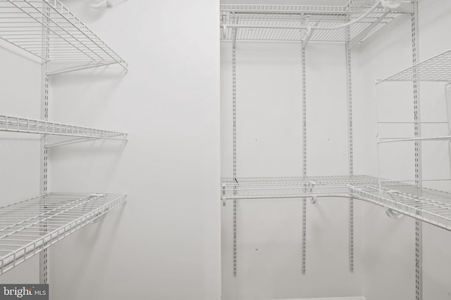 13412 Glen Taylor Ln, Herndon, VA 20171 - view of spacious closet