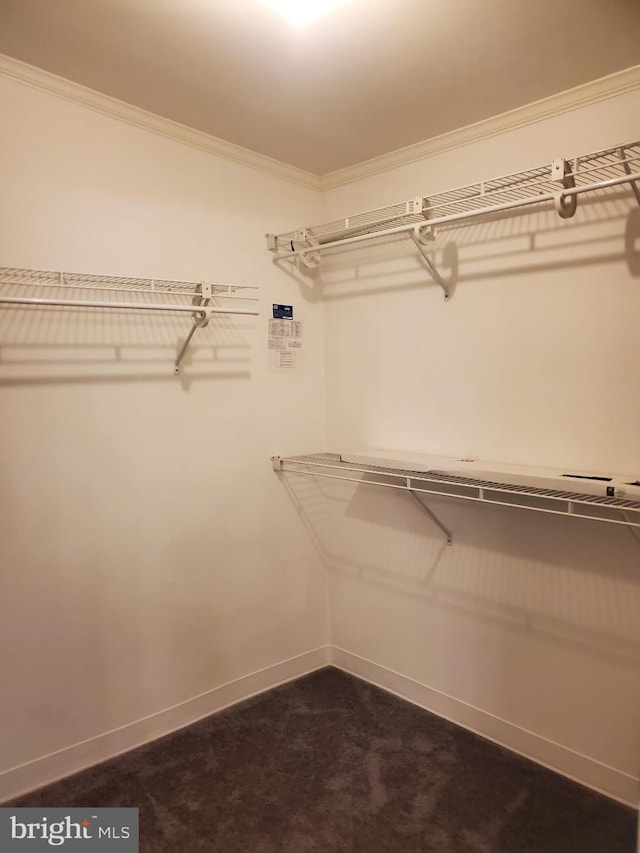 113 Beech Tree Ln, Harrington, DE 19952 - view of spacious closet