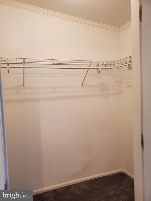113 Beech Tree Ln, Harrington, DE 19952 - walk in closet featuring dark colored carpet