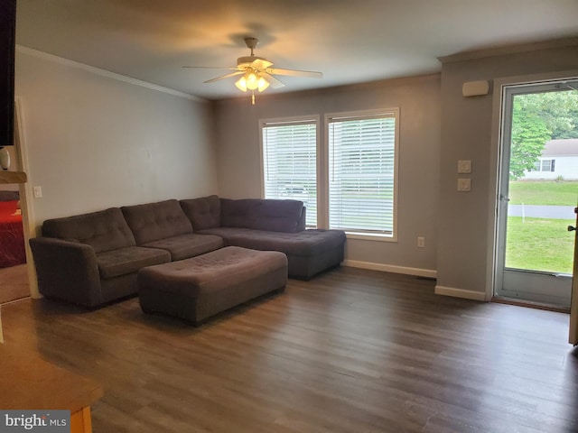 113 Beech Tree Ln, Harrington, DE 19952 - living area with a ceiling fan, ornamental molding, dark wood-type flooring, and baseboards