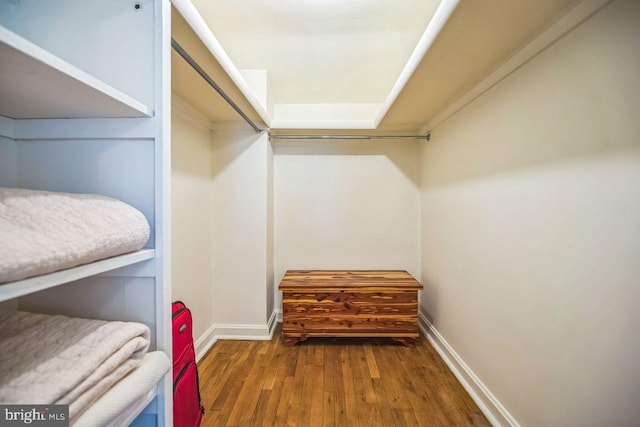 742 Arndt Ave, Riverside, NJ 08075 - walk in closet with wood finished floors
