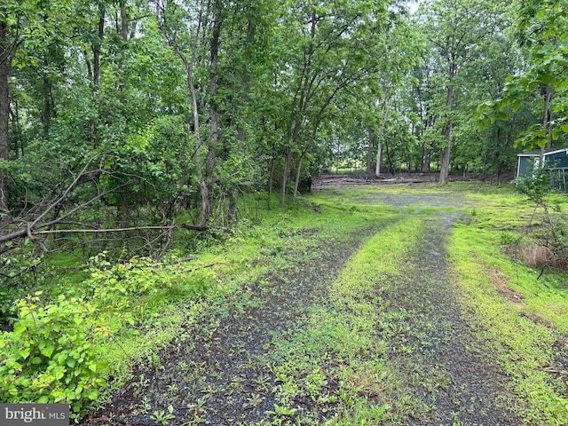 2518 Irish Creek Rd, Mohrsville, PA 19541