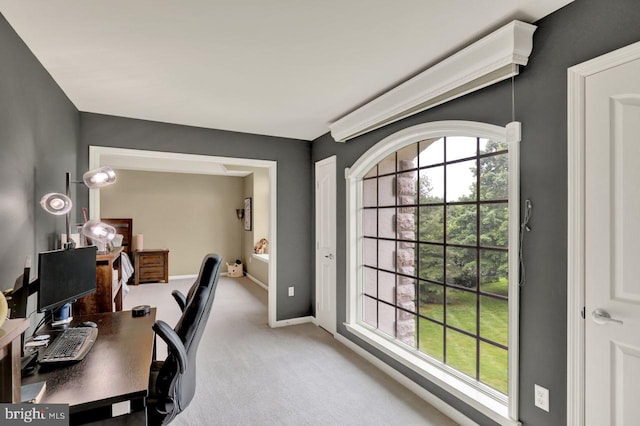 12 Fox Glen Dr, Reading, PA 19608 - office space with carpet flooring and baseboards