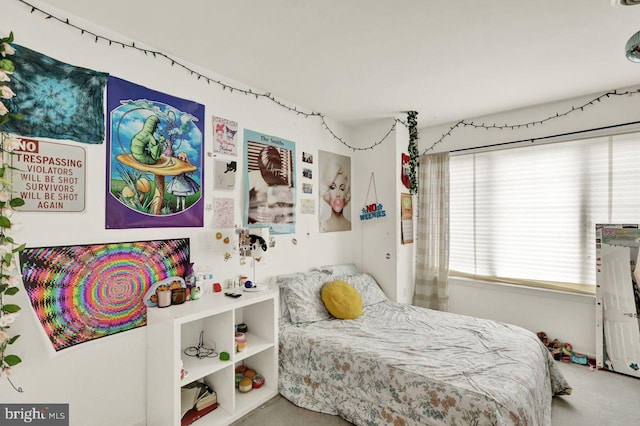 12 Fox Glen Dr, Reading, PA 19608 - view of carpeted bedroom