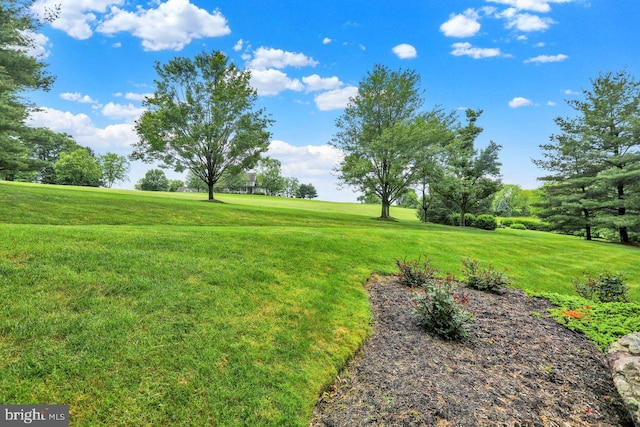 12 Fox Glen Dr, Reading, PA 19608 - view of grassy yard