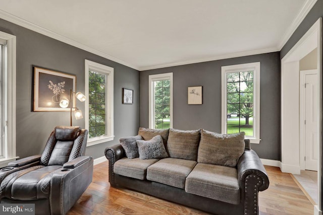 12 Fox Glen Dr, Reading, PA 19608 - living room featuring baseboards, crown molding, and light wood finished floors
