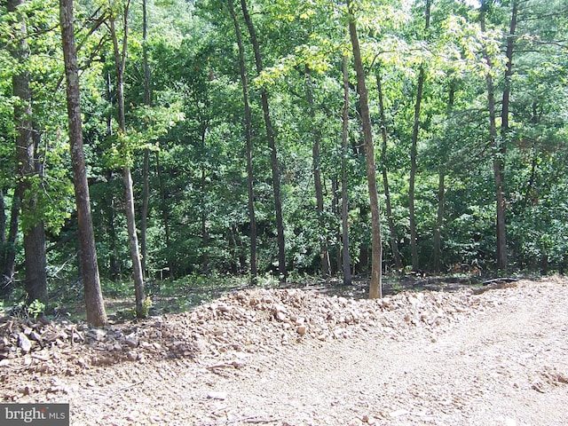 223 Fairview Oaks Ln, Berkeley Springs, WV 25411 - view of woods