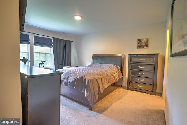 304 Trinity Ct Unit 11, Princeton, NJ 08540 - view of carpeted bedroom