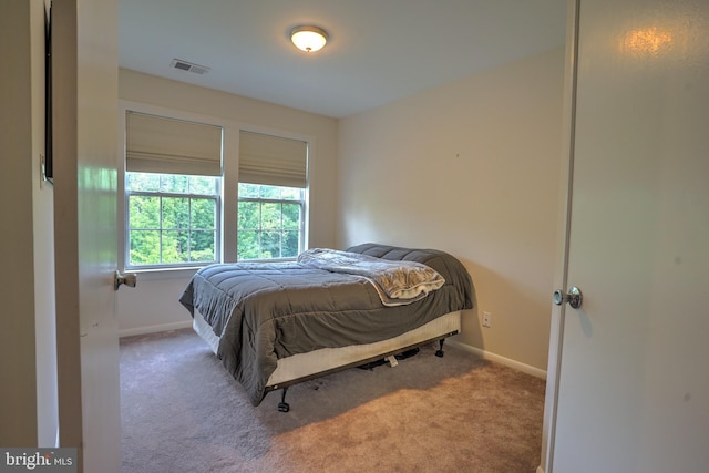 304 Trinity Ct Unit 11, Princeton, NJ 08540 - bedroom featuring carpet and baseboards
