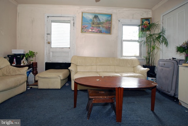 33 Adeline St, Trenton, NJ 08611 - living room with ornamental molding and carpet floors