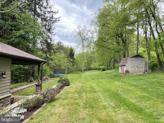 4306 National Pike, Markleysburg, PA 15459 - view of grassy yard with a trampoline