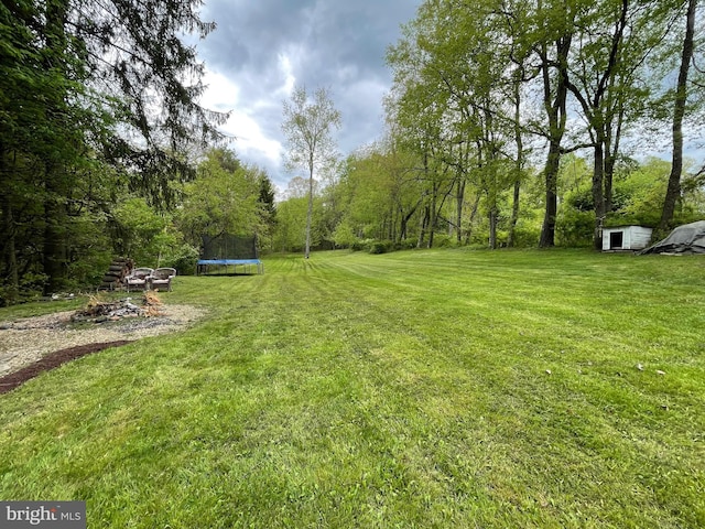 4306 National Pike, Markleysburg, PA 15459 - view of green lawn featuring a trampoline