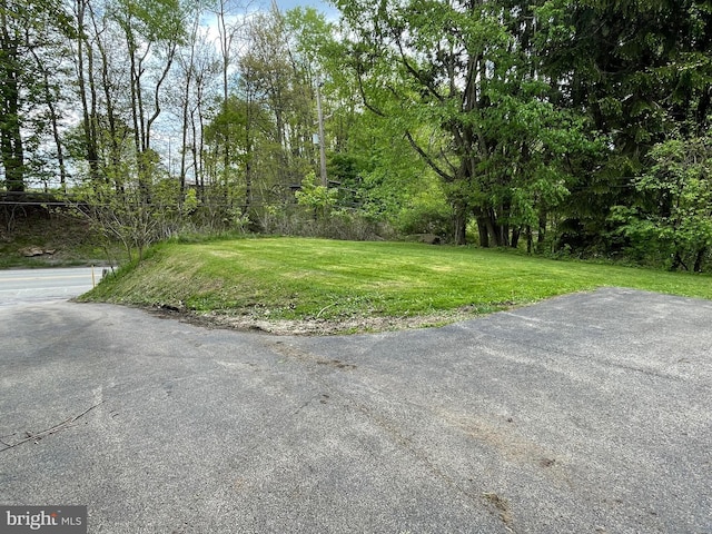 4306 National Pike, Markleysburg, PA 15459 - view of grassy yard