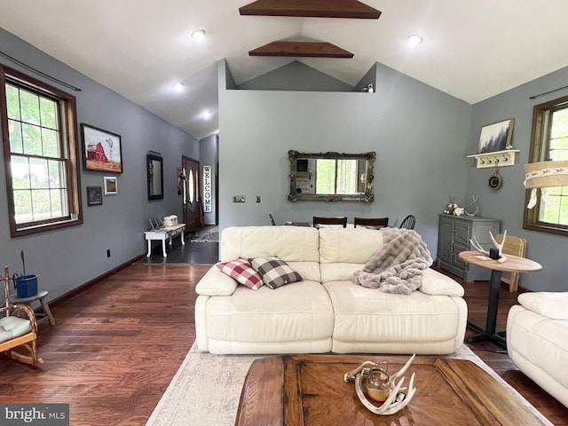 4306 National Pike, Markleysburg, PA 15459 - living room featuring dark wood finished floors, plenty of natural light, and high vaulted ceiling