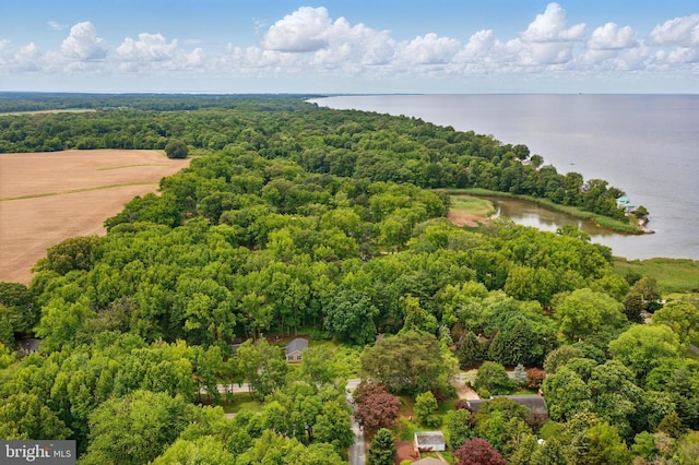 21363 Indiana Ave, Chestertown, MD 21620 - aerial view of a large body of water and a forest