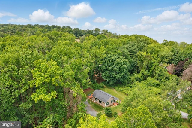 21363 Indiana Ave, Chestertown, MD 21620 - view of subject property featuring a heavily wooded area