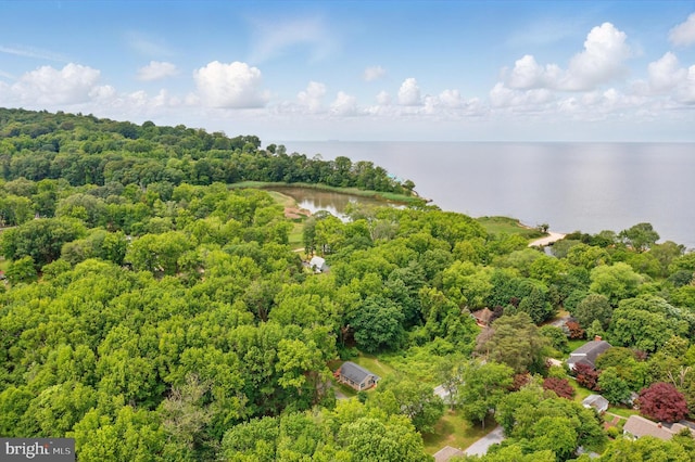 21363 Indiana Ave, Chestertown, MD 21620 - bird's eye view of a nearby body of water and a forest