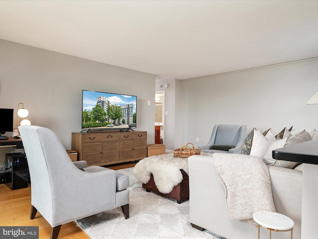 7333 New Hampshire Ave Unit 603, Takoma Park, MD 20912 - living room featuring light wood finished floors