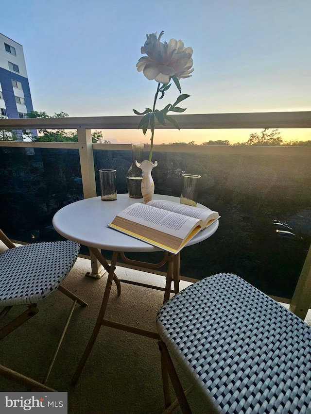 7333 New Hampshire Ave Unit 603, Takoma Park, MD 20912 - balcony with outdoor dining space