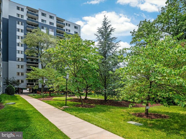 7333 New Hampshire Ave Unit 603, Takoma Park, MD 20912 - view of community featuring a lawn