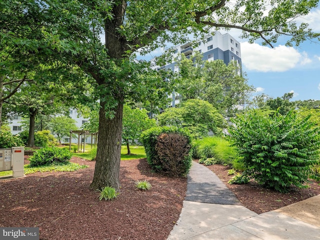 7333 New Hampshire Ave Unit 603, Takoma Park, MD 20912 - view of community
