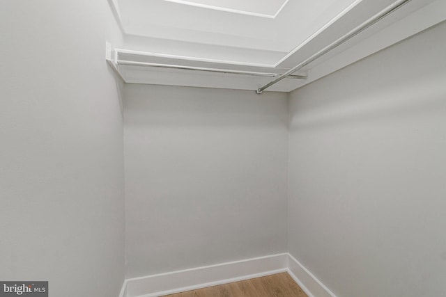 1724 W Abingdon Dr Unit 201, Alexandria, VA 22314 - walk in closet featuring light wood-style floors