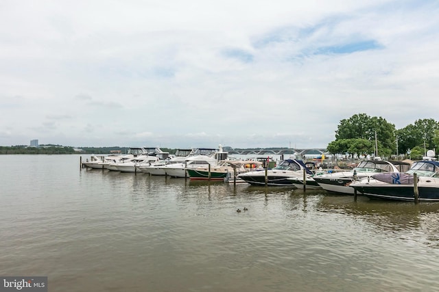 1724 W Abingdon Dr Unit 201, Alexandria, VA 22314 - dock with a water view
