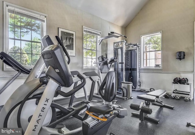 1724 W Abingdon Dr Unit 201, Alexandria, VA 22314 - workout area featuring lofted ceiling
