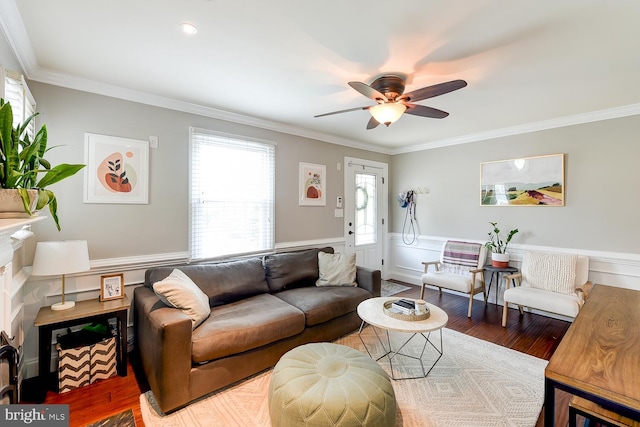 3819 14th St S, Arlington, VA 22204 - living room featuring a ceiling fan, crown molding, a wainscoted wall, and wood finished floors