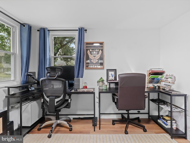 5902 Amelia St, Springfield, VA 22150 - office featuring plenty of natural light and wood finished floors