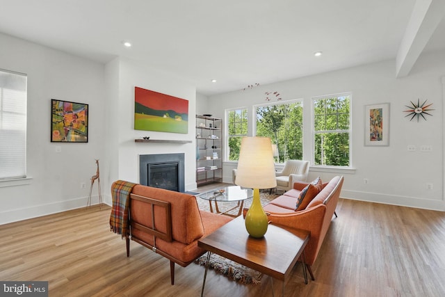17941 Woods Overlook Dr, Dumfries, VA 22026 - living area with wood finished floors, a glass covered fireplace, baseboards, and recessed lighting