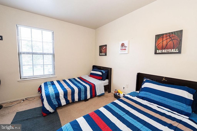 536 Cormorant Dr, Voorhees, NJ 08043 - bedroom featuring multiple windows, carpet flooring, and baseboards