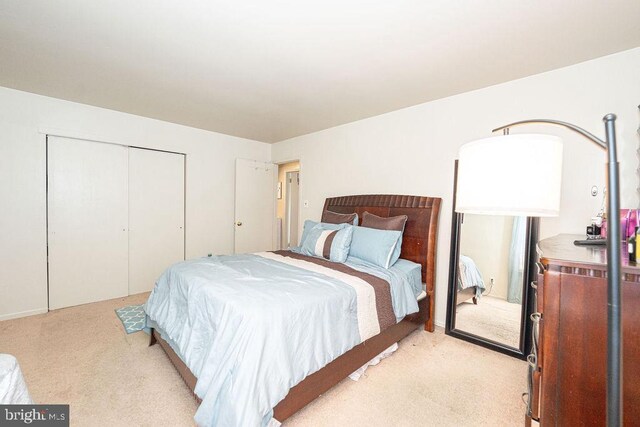 536 Cormorant Dr, Voorhees, NJ 08043 - bedroom with light colored carpet and a closet