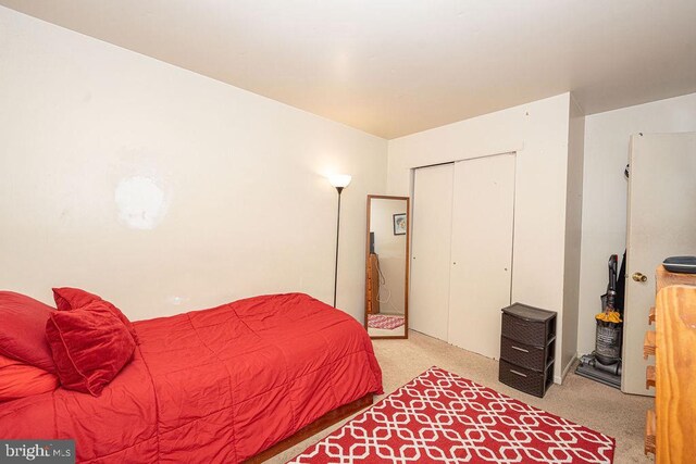 536 Cormorant Dr, Voorhees, NJ 08043 - bedroom featuring light colored carpet and a closet
