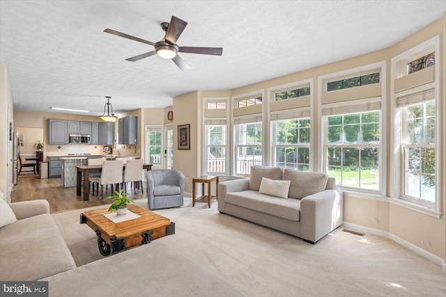 1104 Century Oak Dr, Fredericksburg, VA 22401 - living room with a textured ceiling, baseboards, and a ceiling fan