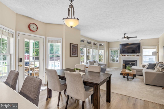 1104 Century Oak Dr, Fredericksburg, VA 22401 - dining space with ceiling fan, healthy amount of natural light, a textured ceiling, light wood-style flooring, and a glass covered fireplace