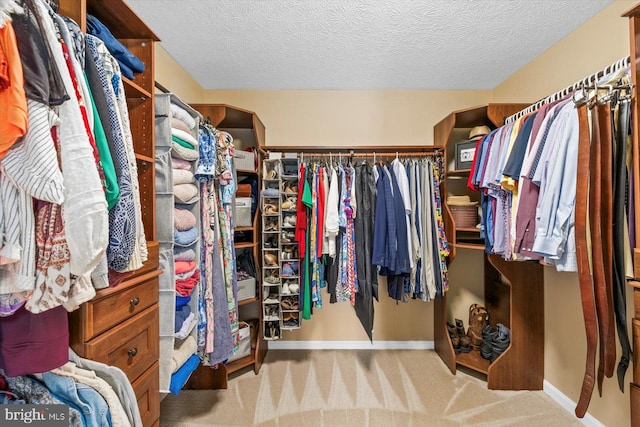 1104 Century Oak Dr, Fredericksburg, VA 22401 - walk in closet featuring carpet